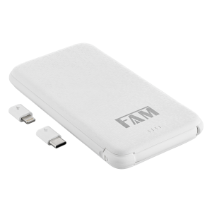 POWERBANK 10000MAH L10010
